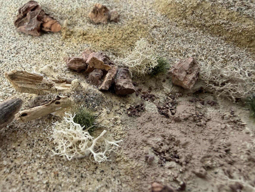 lt-2026-03 no diving zoom lt-2026-03 no diving zoom